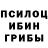 Галлюциногенные грибы прущие грибы depa umre