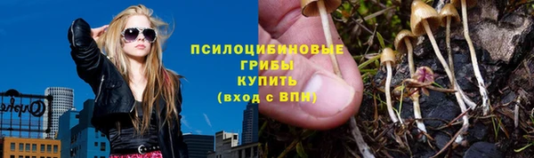 каннабис Арсеньев