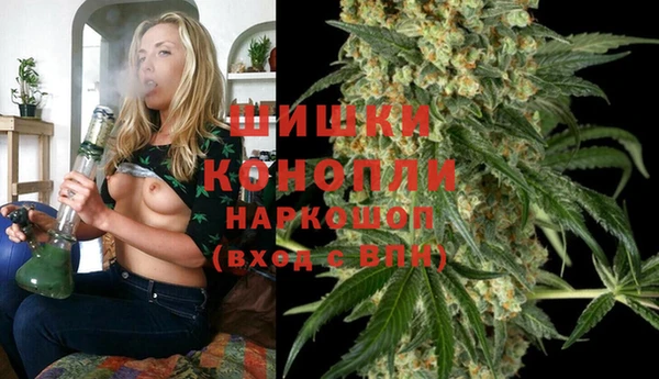 дживик Аркадак