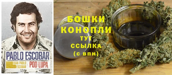 дживик Аркадак