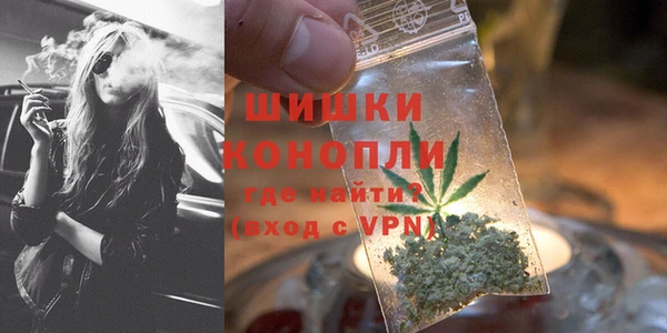 дживик Аркадак