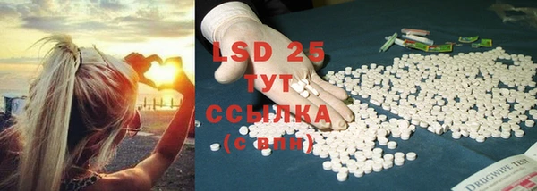 дживик Аркадак