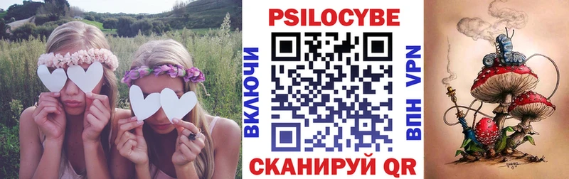Псилоцибиновые грибы Cubensis KRAKEN рабочий сайт Харовск